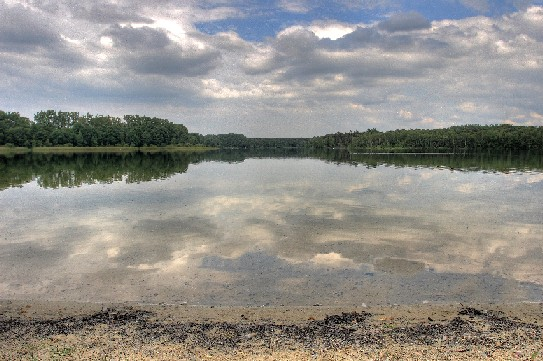 De Mellevijver (Turnhout)